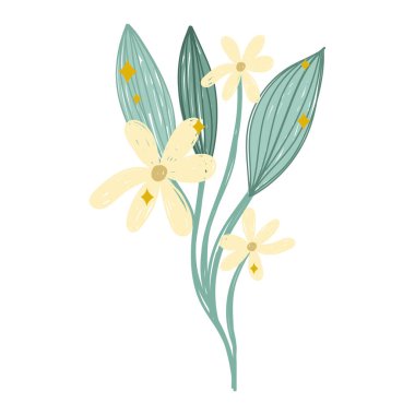 Çiçekler demet papatya