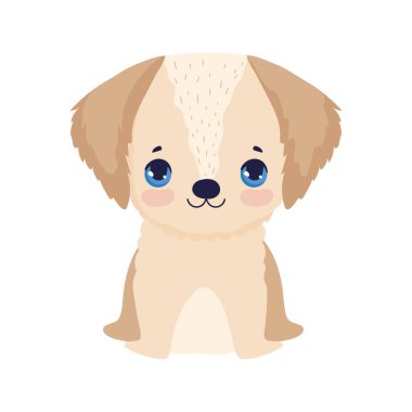 Komik küçük köpek.