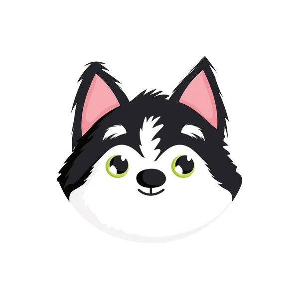 シベリア犬の顔 — ストックベクタ