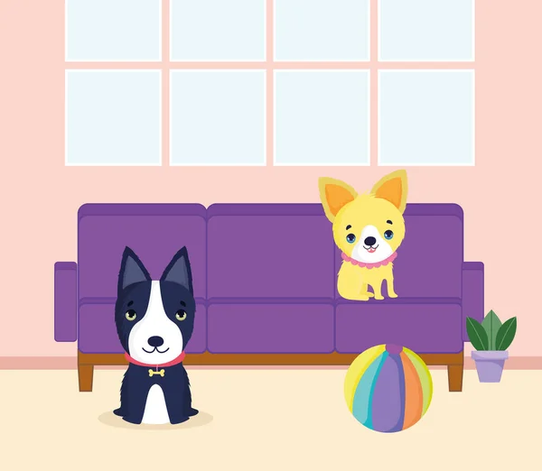 Cuccioli in casa — Vettoriale Stock