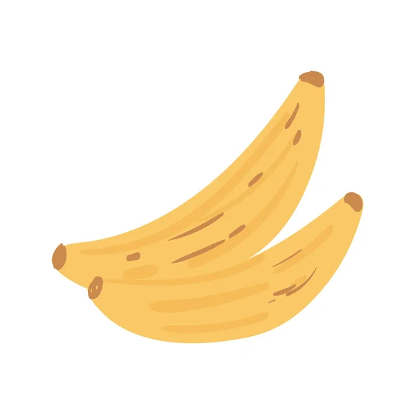Frutos frescos de banana — Vetor de Stock