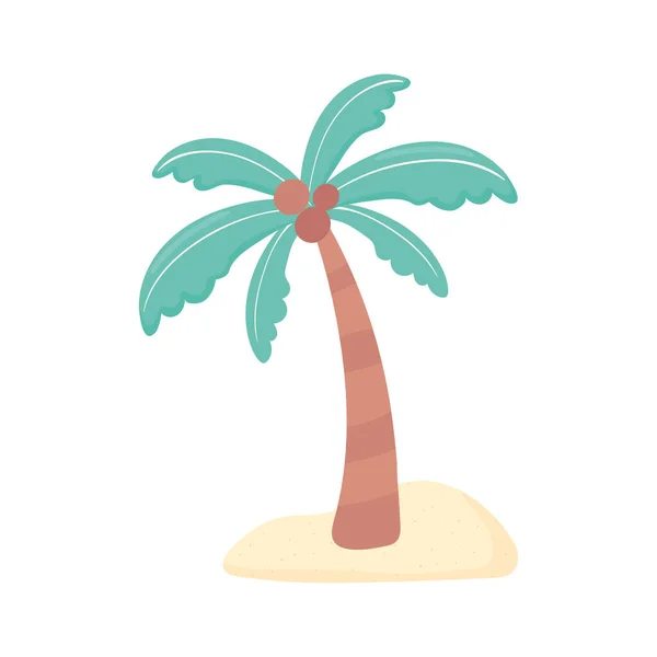Beach tropical palm — Stock Vector