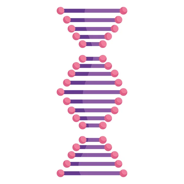 Molekula struktury DNA — Stockový vektor