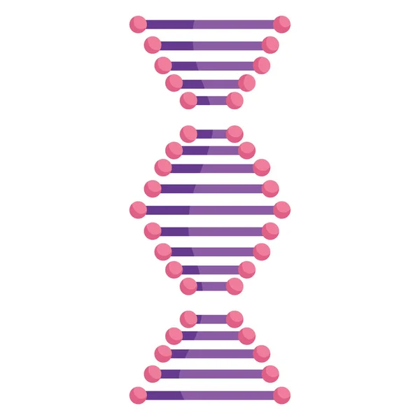 Molécula de estrutura de dna — Vetor de Stock