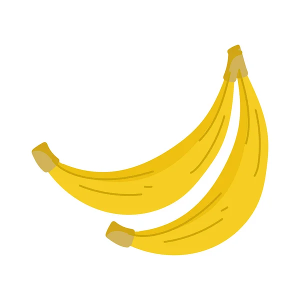 바나나 싱싱 한 과일 — 스톡 벡터