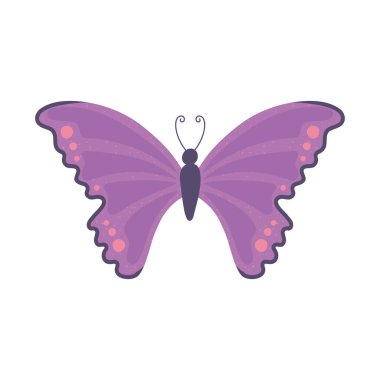 mor kelebek çizgi filmi