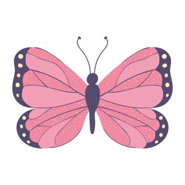 pembe kelebek şirin