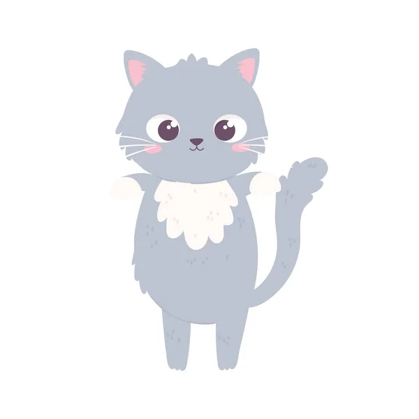 かわいいグレーの子猫ちゃん — ストックベクタ