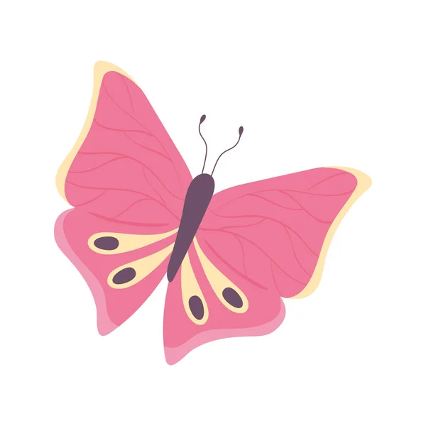 Insecte papillon rose — Image vectorielle