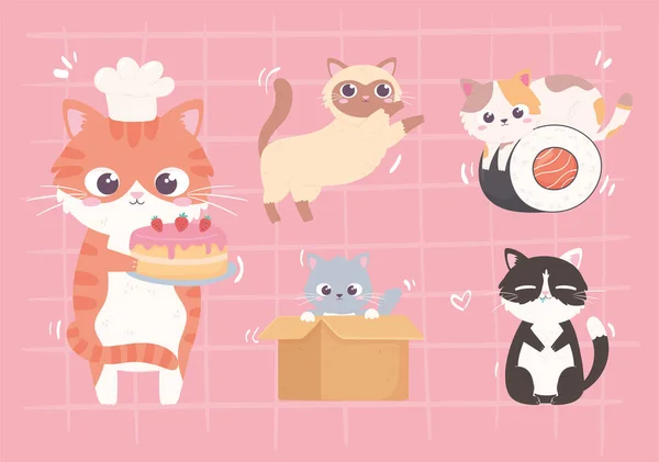 Schattig kleine katjes set — Stockvector