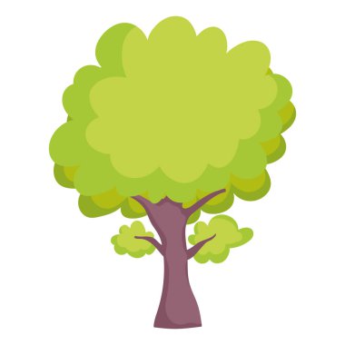 Ağaç Ormanı Botanik