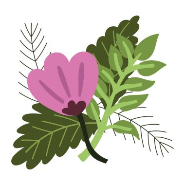 çiçek yaprakları botanik