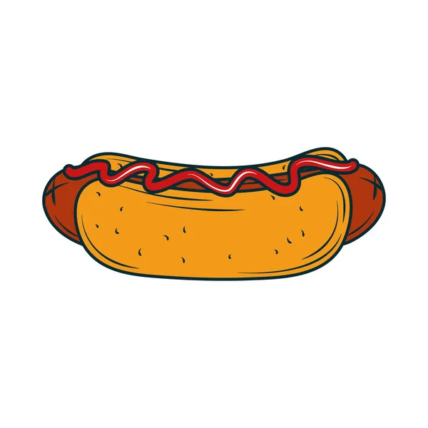 Hot dog fast food — Stock Vector