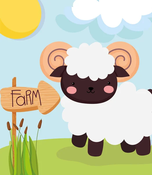Granja linda oveja — Vector de stock