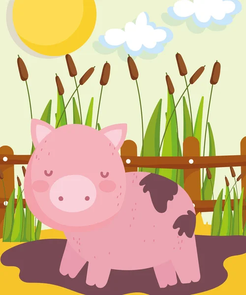 农场可爱的猪 — 图库矢量图片