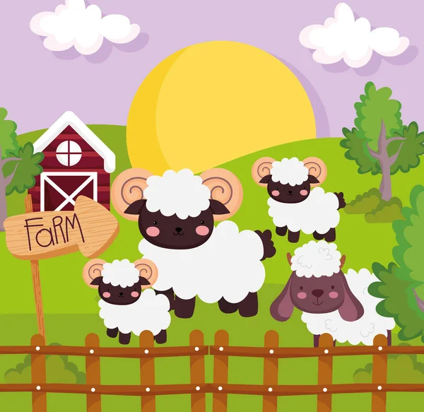 Aranyos tanyasi bárányok — Stock Vector
