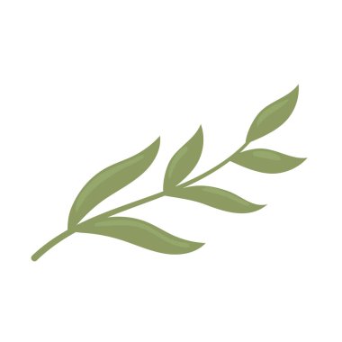 ağaç yaprakları botanik