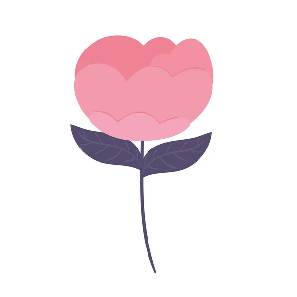 ดอกทิวลิปธรรมชาติ — ภาพเวกเตอร์สต็อก