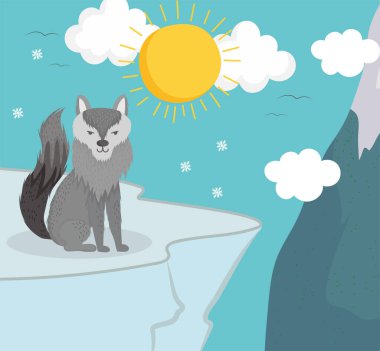 Kurt kışı kar taneleri