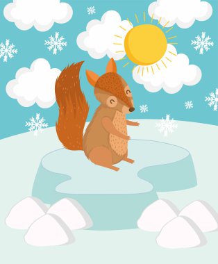 sincap yaban hayatı kışı