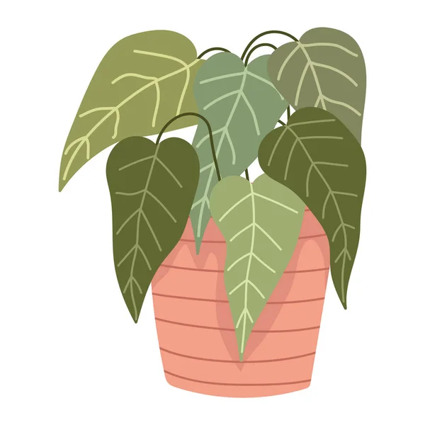 Planta de planta de interior en maceta — Vector de stock