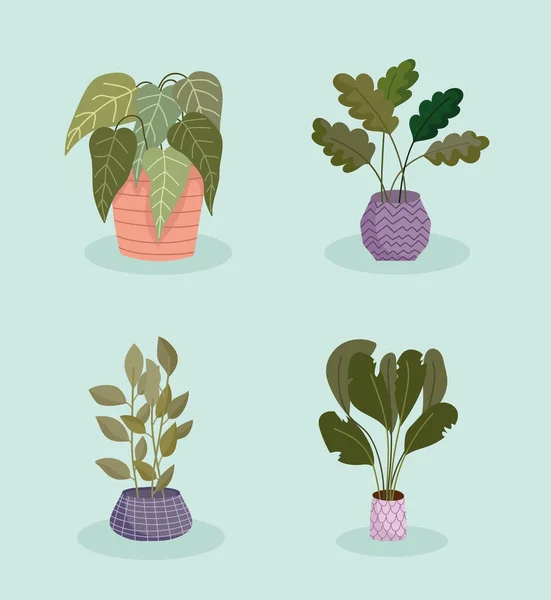 Conjunto de plantas en maceta — Archivo Imágenes Vectoriales