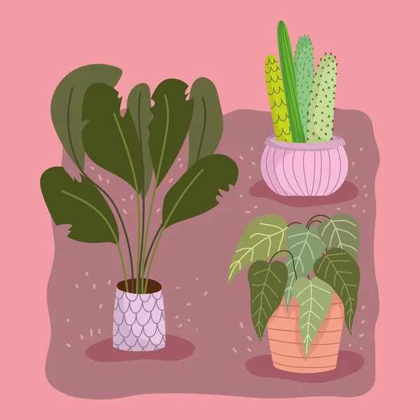 Insamling av inhemska växter — Stock vektor
