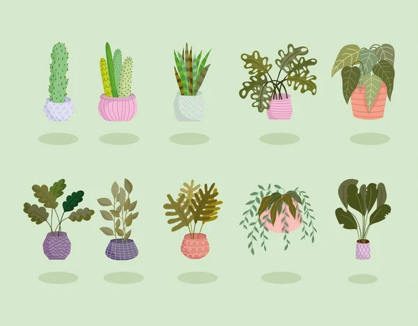 Définir diverses plantes d'intérieur — Image vectorielle