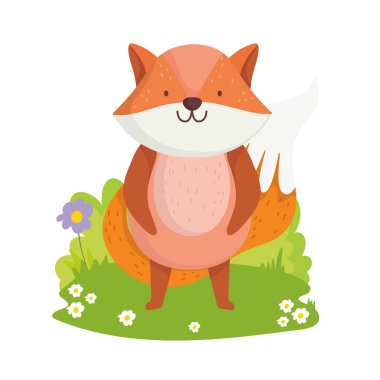 Tilki Vahşi Yaşam çizgi filmi