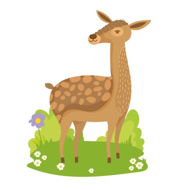 geyik vahşi yaşam çizgi filmi