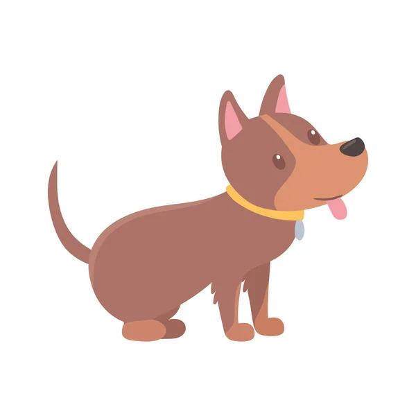 Lindo perro animal mascota — Archivo Imágenes Vectoriales