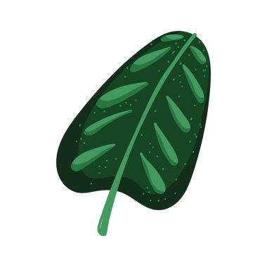 Tropikal yaprak doğası