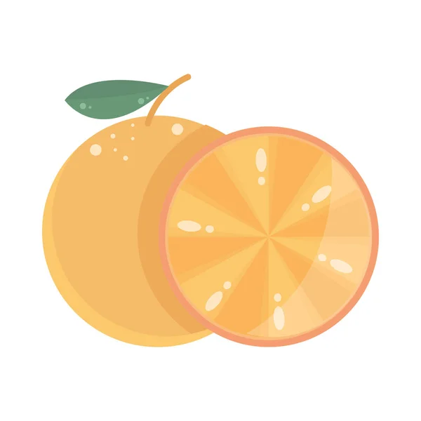 Orange ganz und in Scheiben schneiden — Stockvektor