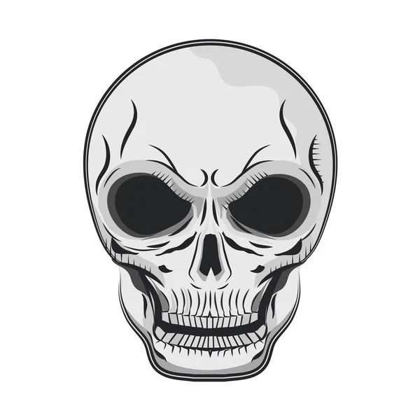 Crânio rosto ósseo —  Vetores de Stock