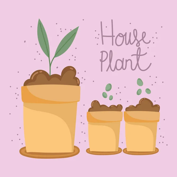 집 식물의 토양 재배 — 스톡 벡터