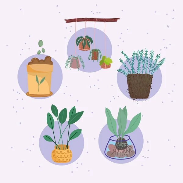 Φυτά εσωτερικού χώρου και σύνολο λιπασμάτων — Διανυσματικό Αρχείο