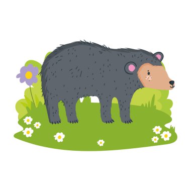 Tatlı ayı çizgi filmi.