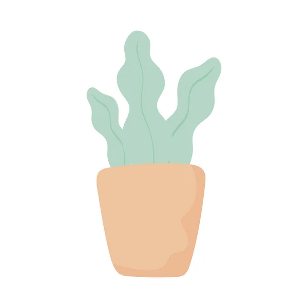 Jardín de plantas en maceta — Vector de stock