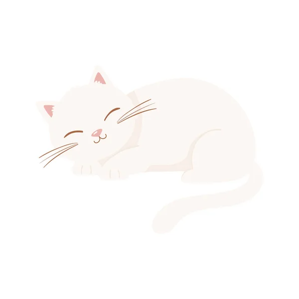 Gato dormindo branco — Vetor de Stock