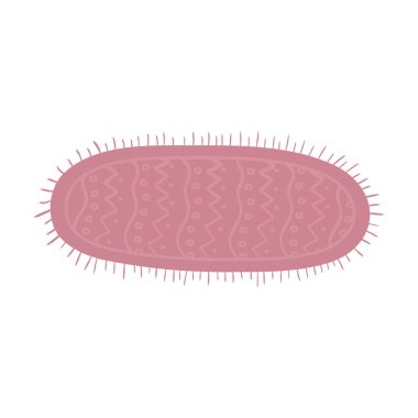 pembe halı dekorasyonu