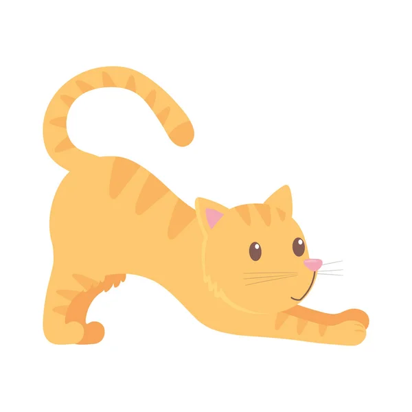 Lindo gato estiramiento — Archivo Imágenes Vectoriales