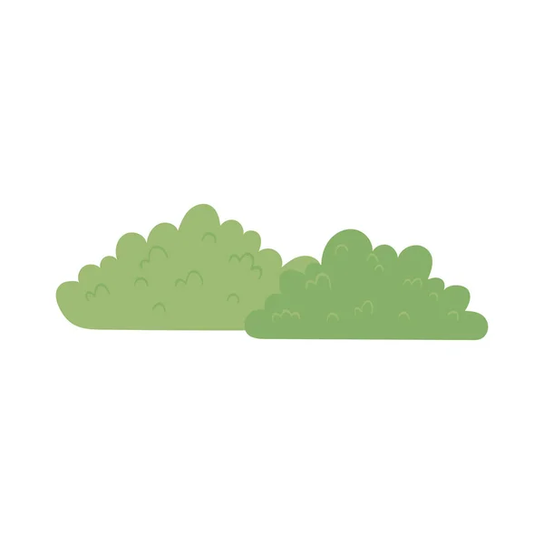 Arbusto verde natural — Vector de stock