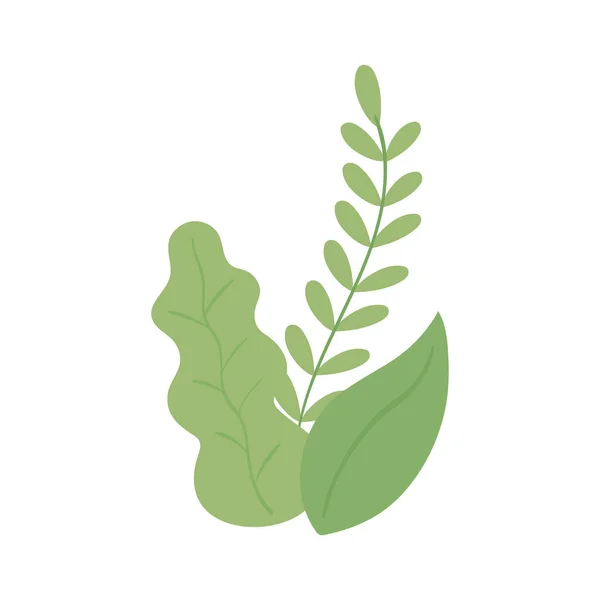 Ramo di foglie naturali — Vettoriale Stock
