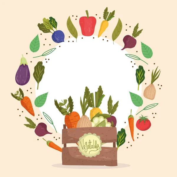 Legumes alimentos frescos — Vetor de Stock