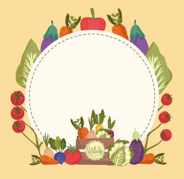 Овощи и баннер — стоковый вектор