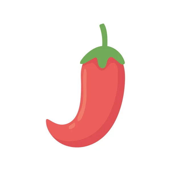 Hete peper uit chili — Stockvector