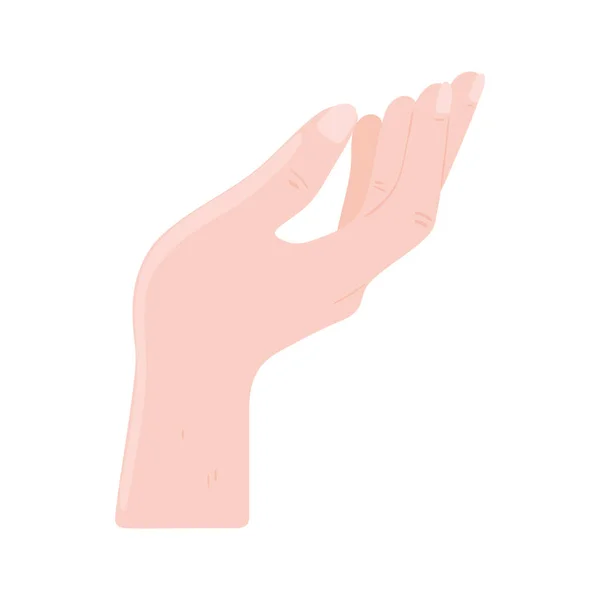 Handen upplyft öppen — Stock vektor
