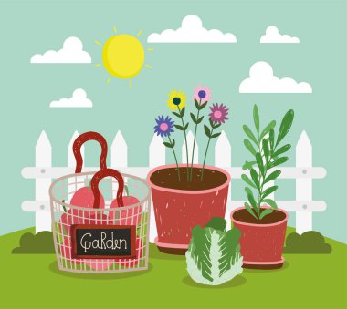 bahçe organik sebzeler