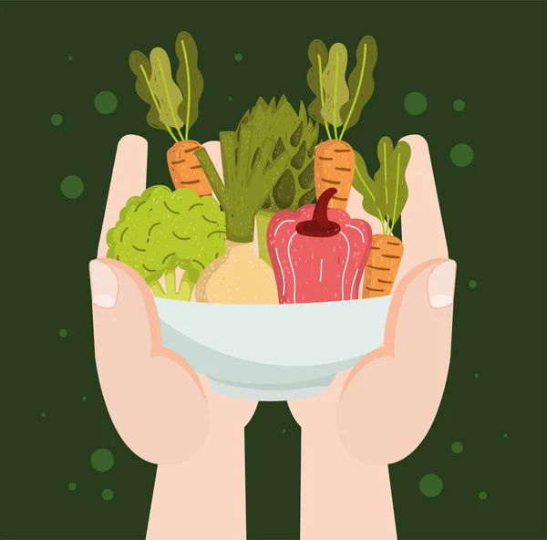 Руки з овочами — стоковий вектор