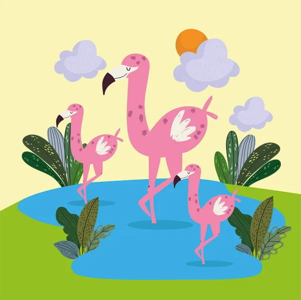 Göldeki sevimli flamingolar — Stok Vektör